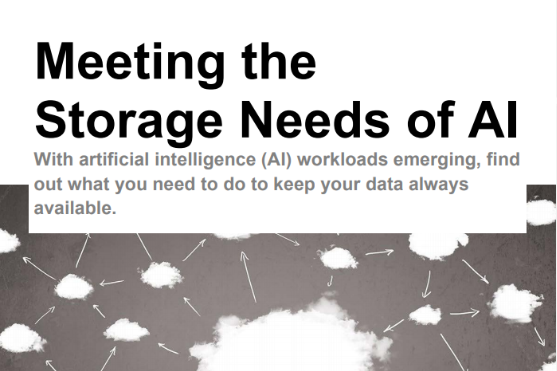 Meeting the Storage Needs of AI