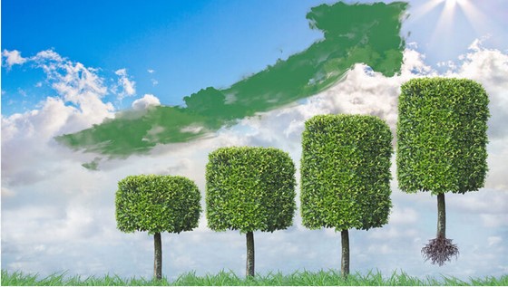 Sustainable Procurement for Compliant, Future-Ready Enterprises