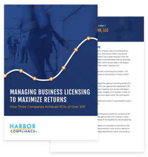 White Paper: Managing Business Licensing to Maximize Returns